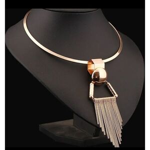 NWT Collar tassel necklace alloy. Beautiful pieces.